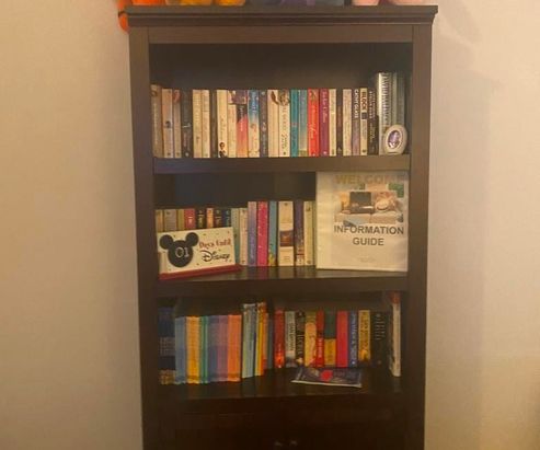 Book shelves 2023